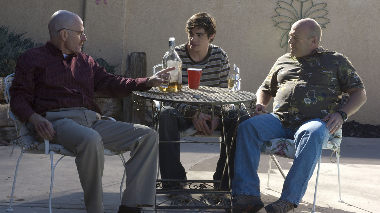 Breaking Bad Sezon 2 Odcinek 10 Online - Filman