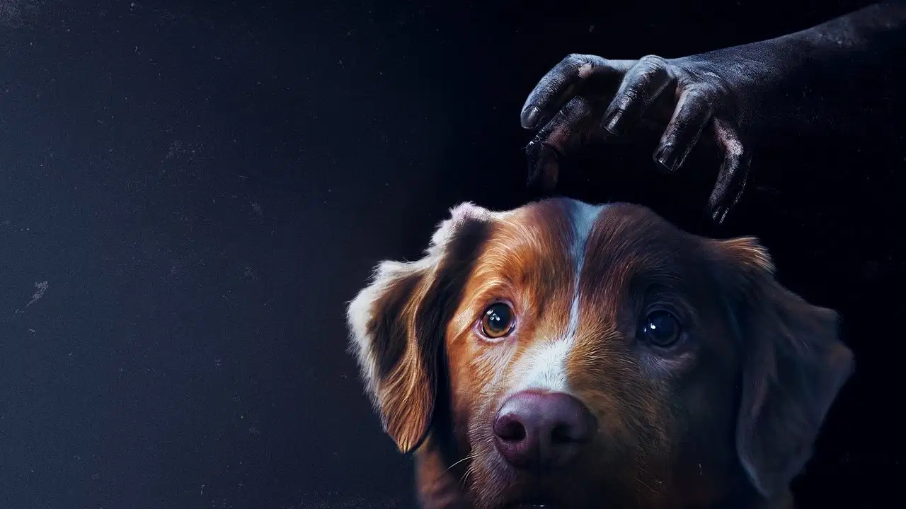 Good boy
