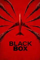 Zaginiony lot Cały Film (2026) Online - Gdzie Obejrzeć