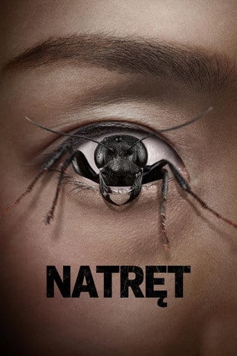 Natręt Cały Film (2025) Online - Gdzie Obejrzeć