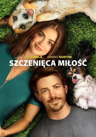 Szczenięca miłość Cały Film (2023) Online - Gdzie Obejrzeć