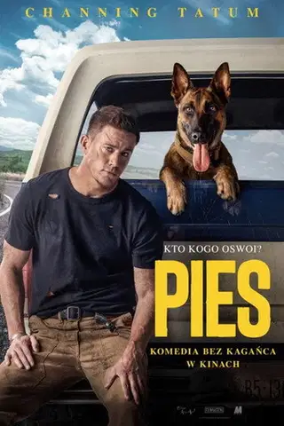 Pies Cały Film (2022) Online - Gdzie Obejrzeć