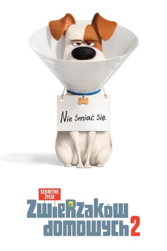 Sekretne życie zwierzaków domowych 2 Cały Film (2019) Online - Gdzie Obejrzeć