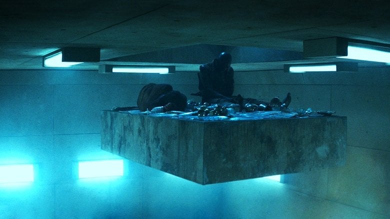Platforma Cały Film (2019) Online - Filman