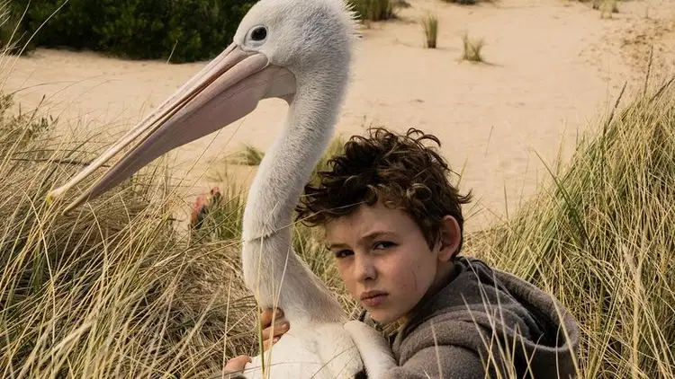 Chłopiec z burzy Cały Film (2019) Online - Gdzie Obejrzeć