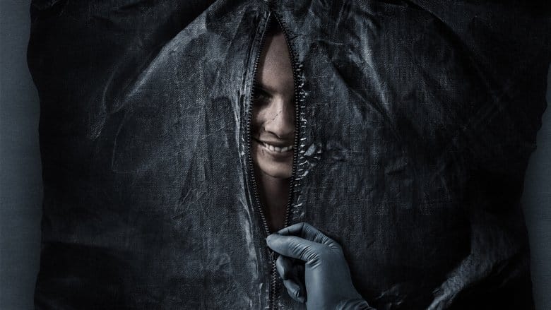 Uśmiechnij się Cały Film (2022) Online - Gdzie Obejrzeć