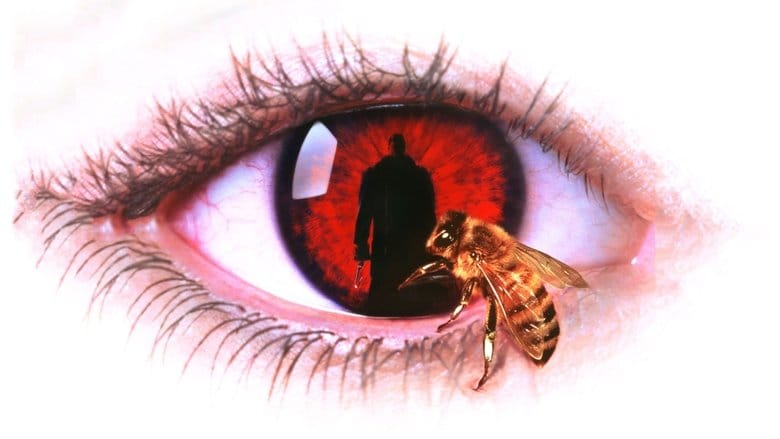 Candyman Cały Film (1992) Online - Gdzie Obejrzeć