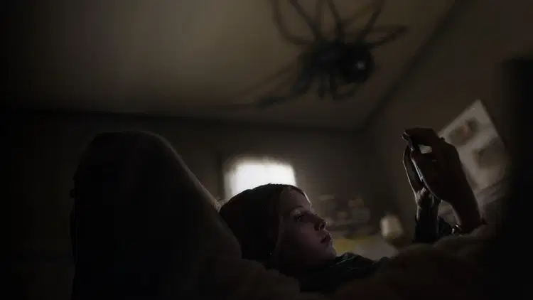 Gniazdo pająka Cały Film (2024) Online - Gdzie Obejrzeć