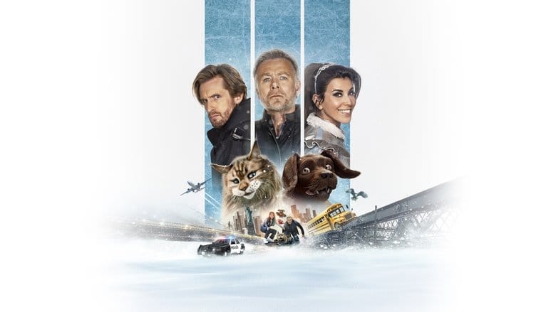 Pies i kot Cały Film (2024) Online - Gdzie Obejrzeć