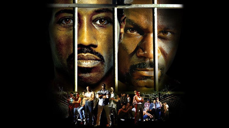 Champion Cały Film (2002) Online - Gdzie Obejrzeć