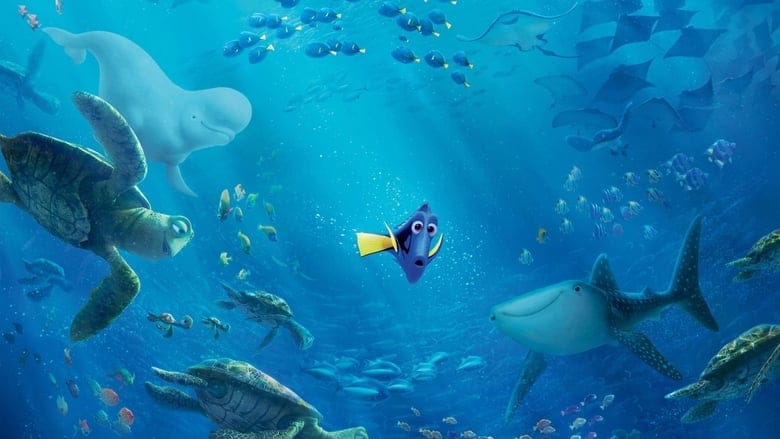 Gdzie jest Dory Cały Film (2016) Online - Gdzie Obejrzeć